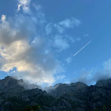 Rexhepi, Valbone *