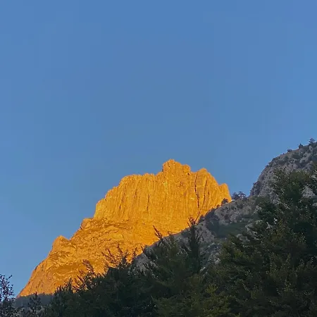 Rexhepi, Valbone