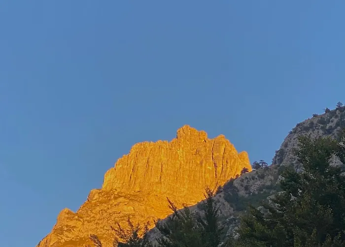 Rexhepi, Valbone